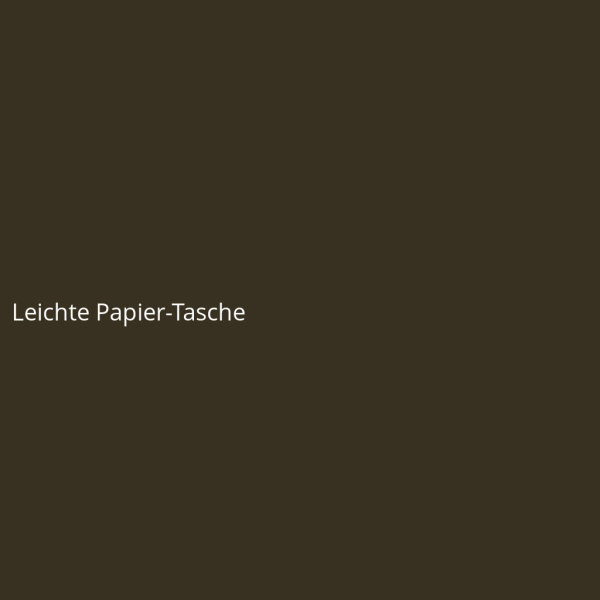 Leichte Papier-Tasche